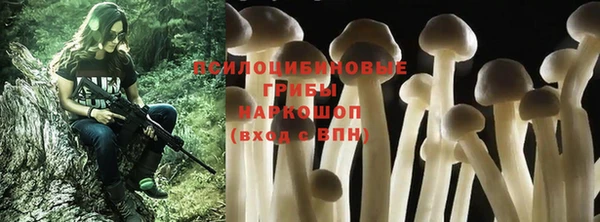 ешки Богородицк