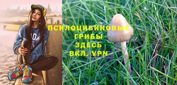 первитин Белоозёрский