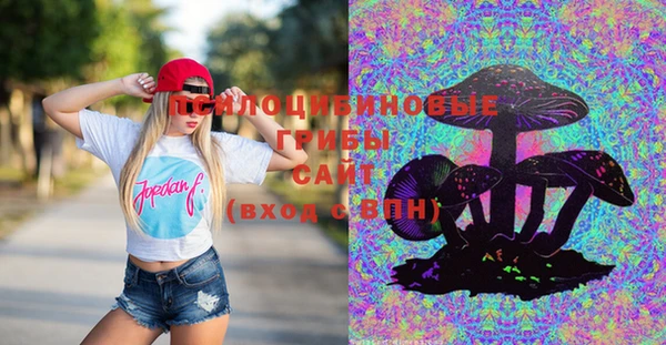 ешки Богородицк