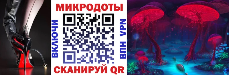 купить закладку Белореченск площадка формула Галлюциногенные грибы Psilocybine cubensis